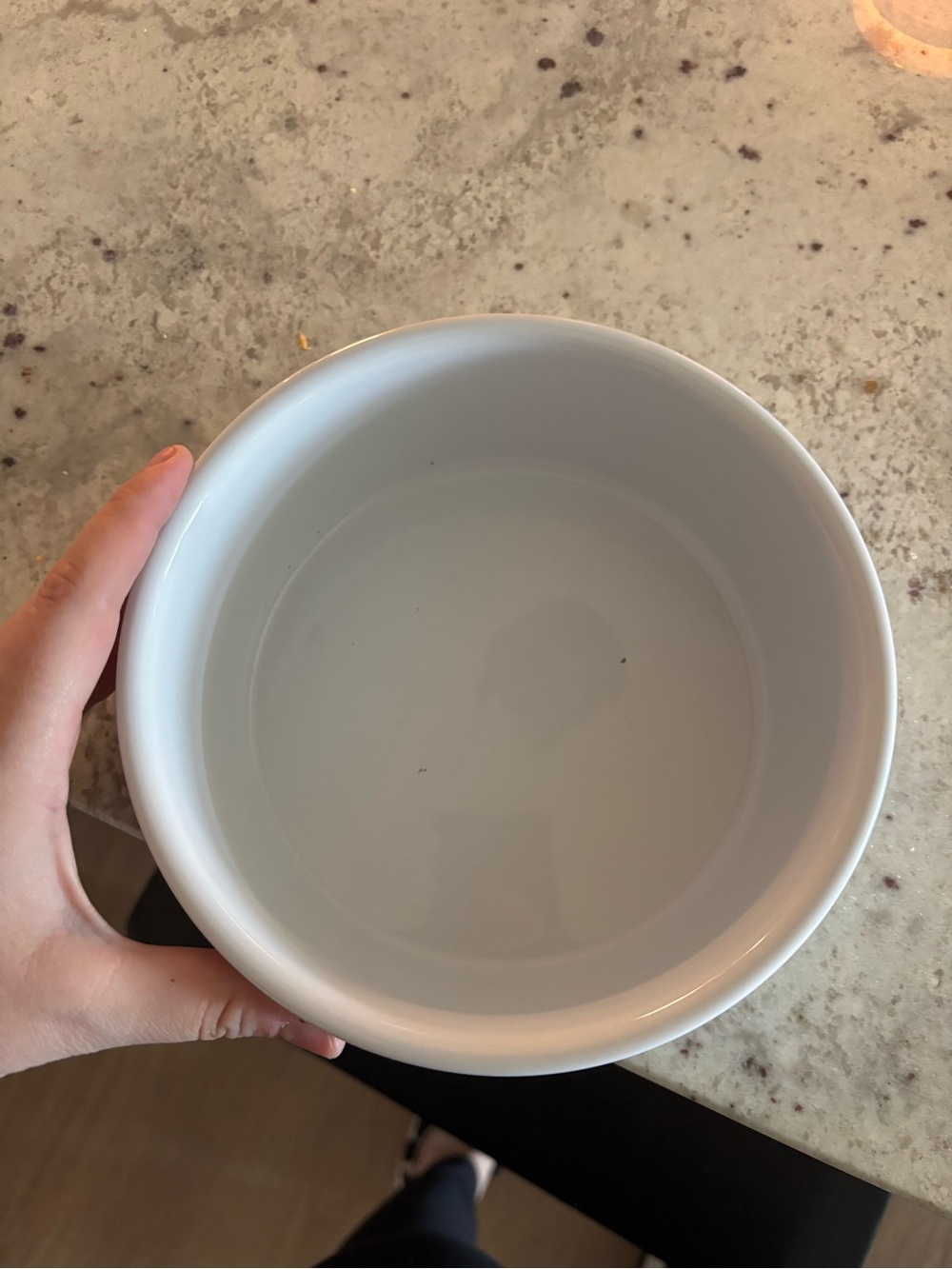 White Ceramic Serving Bowl dog bowl
